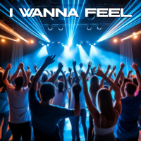 I Wanna Feel - Instrumental cover